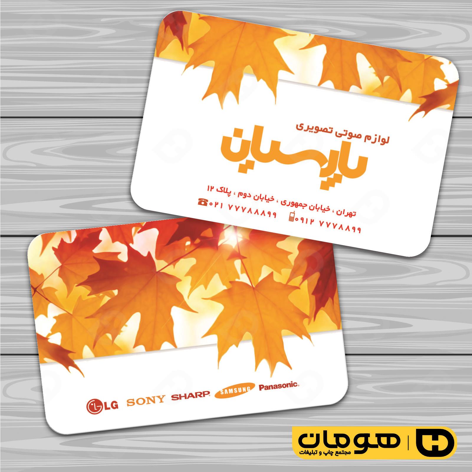 کارت  ویزیت  لوازم خانگی و برقی فروشگاه صوتی تصویری  کد 011701016