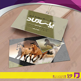 کارت  ویزیت  خدمات ورزشی باشگاه سوارکاری کد 011303004