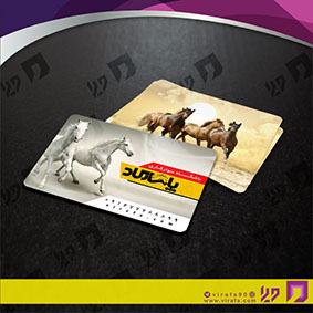کارت  ویزیت  خدمات ورزشی باشگاه سوارکاری کد 011303003
